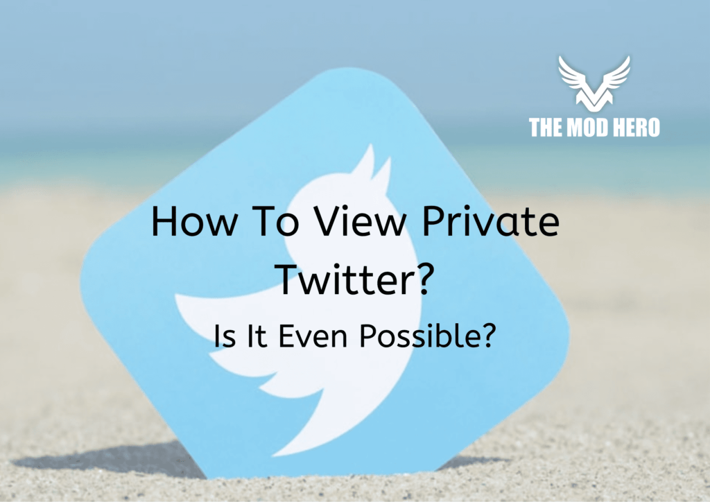View Private Twitter