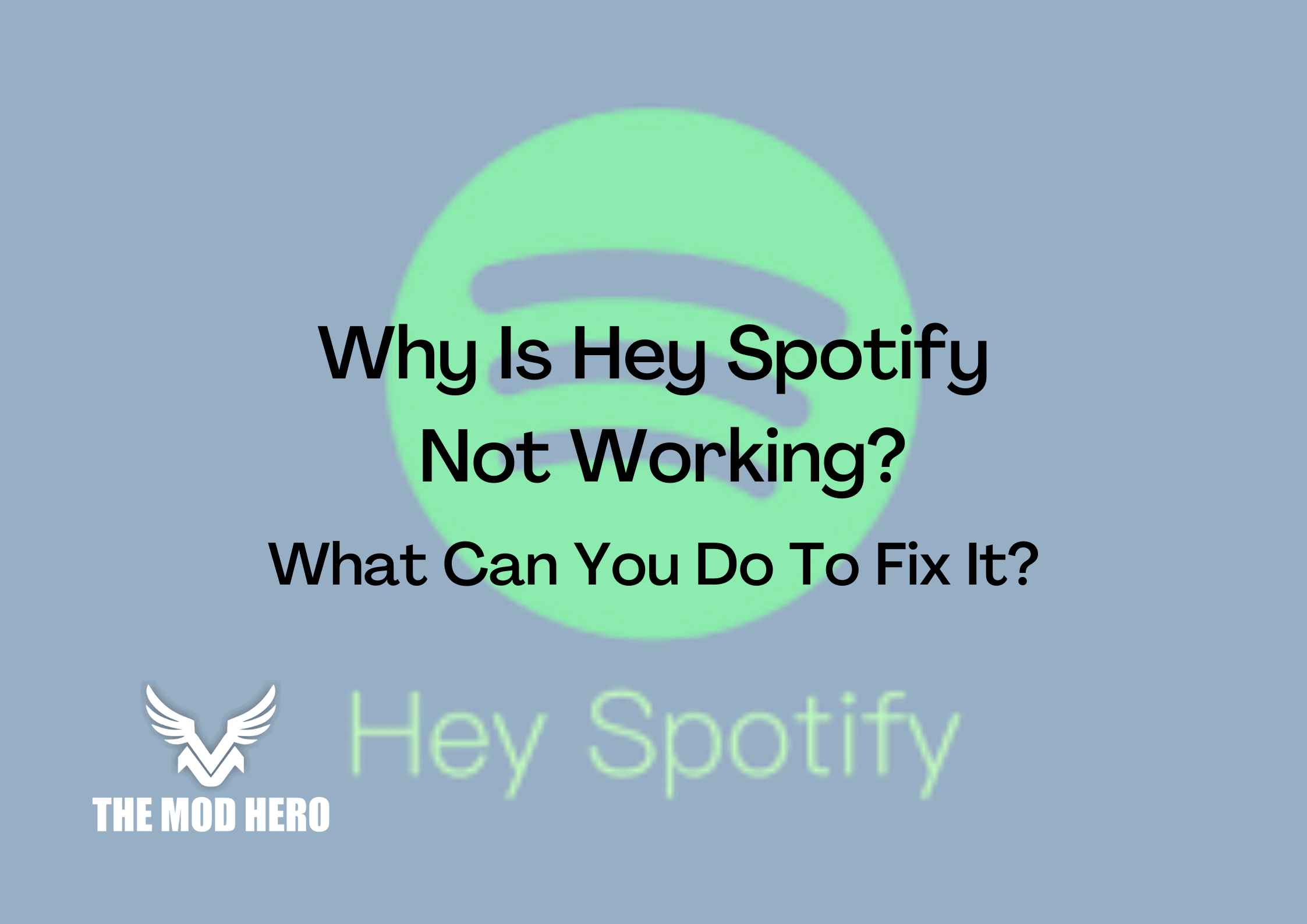 Hey Spotify Not Working