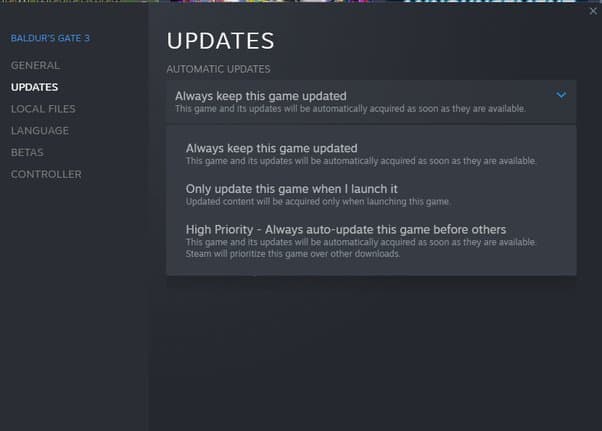 Go to automatic updates and choose the "Always keep this game updated" option